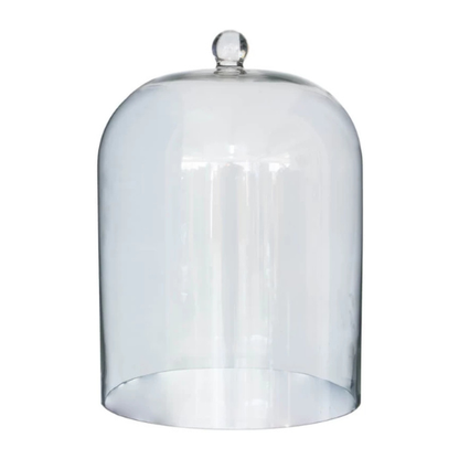 Glass Cloche