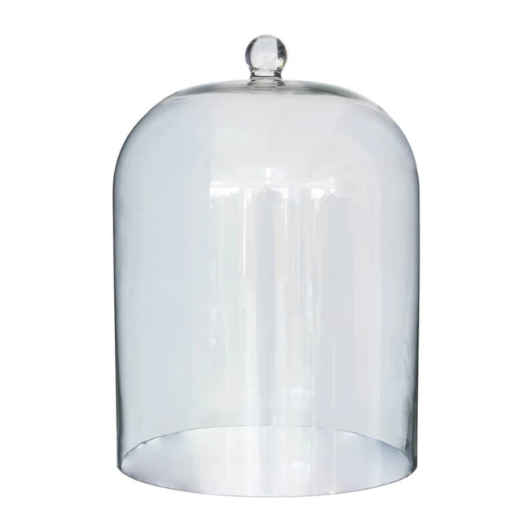 Glass Cloche
