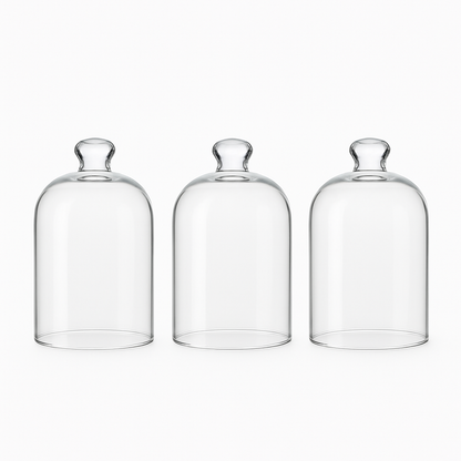 Mini Glass Cloche-Set of 3